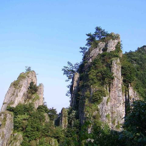 科技護(hù)林，走進(jìn)‘清涼峰’